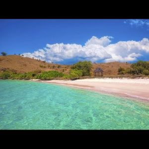 Meet your Posher, Molly